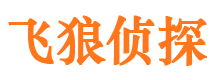 磁县市调查公司